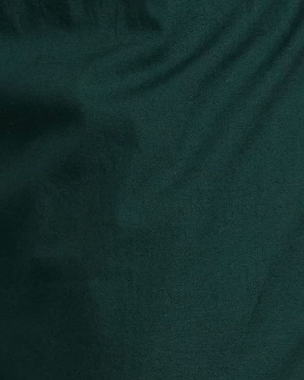 Bottle green Rayon Cotton Regular Fit Palazzo Pants for Women
